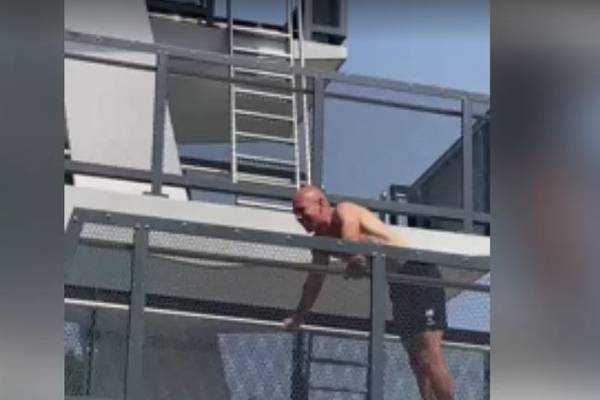 Robben verblüfft Besucher im Paderborner Freibad