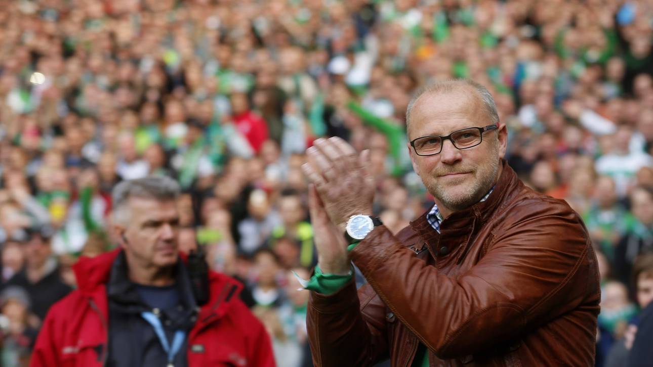 Schaaf liebäugelt mit Rückkehr