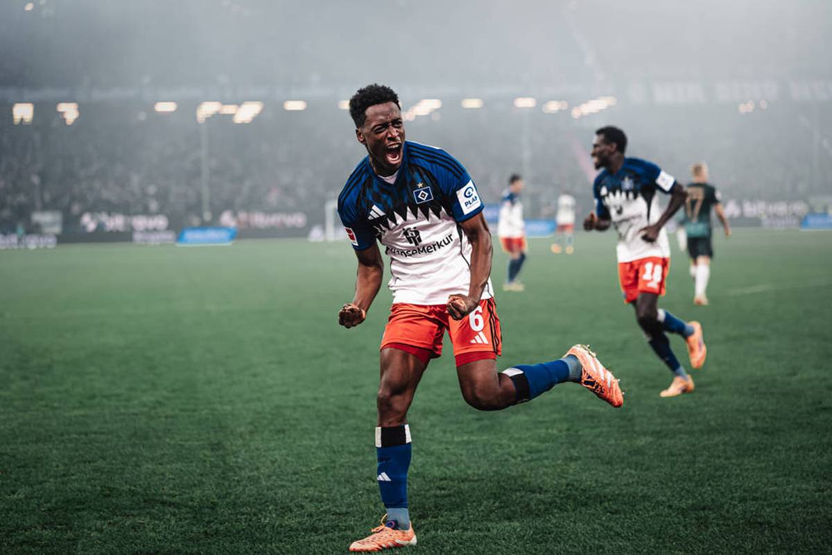 Schnäppchen-Coup! Der HSV-Transfer des Jahres