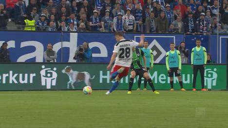 Der Hamburger SV bleibt mit seinem Heimsieg gegen Greuther Fürth an Heidenheim dran. Zumindest Platz drei ist dem HSV nicht mehr zu nehmen.