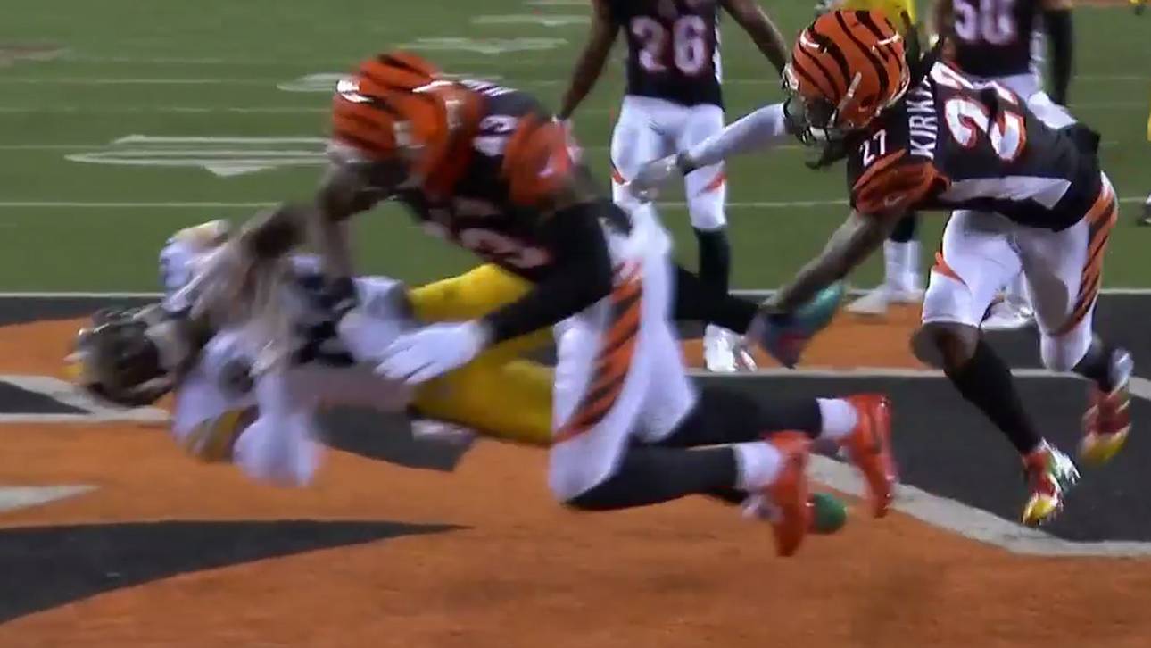 Antonio Brown (l.) wurde böse umgecheckt