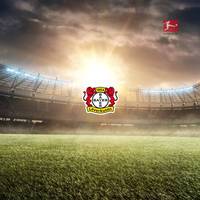 Bundesliga: Bayer 04 Leverkusen – Borussia Dortmund (Sonntag, 17:30 Uhr)