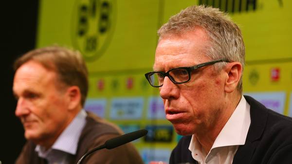 Peter Stöger war bereits im Sommer als Nachfolger von Thomas Tuchel in Dortmund im Gespräch