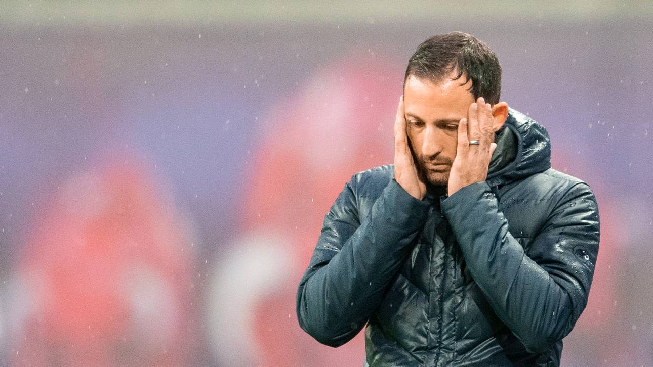 S04-Beben: Fragen und Antworten