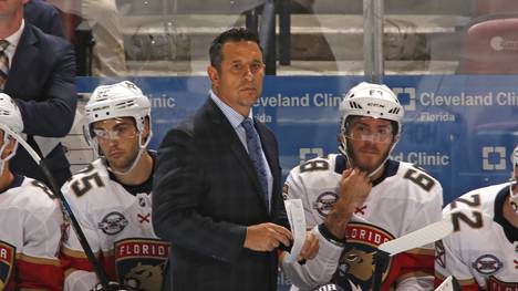 Carolina Hurricanes v Florida Panthers Florida Panthers Head coach Bob Boughner of the Florida Panthers looks on during third period action against the Carolina Hurricanes at the BB&T Center on February 21, 2019 in Sunrise, Florida. The Hurricanes defeated the Panthers 4-3. 