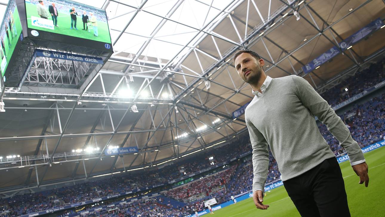 Wie Tedesco Schalke besser macht