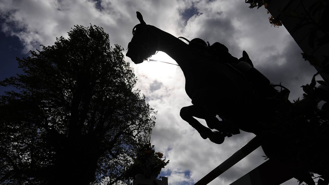 Reit-Präsident zeigt sich bestürzt