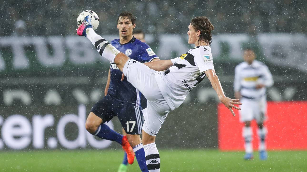 Wie gut kennen Sie Knappen und Fohlen?