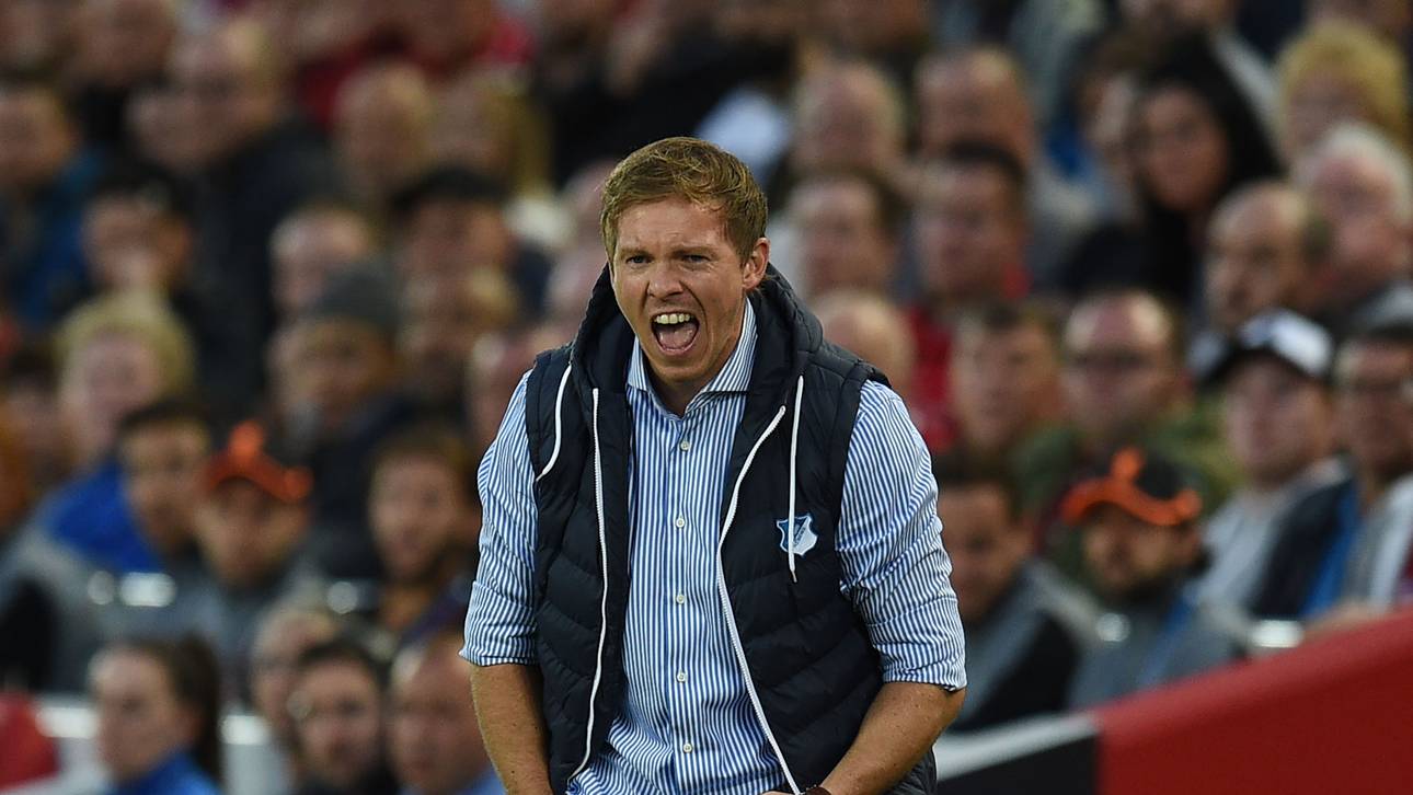 Hoffenheim in der Europa League