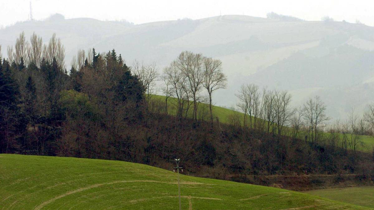 DIE HERKUNFT: Ancelotti kommt aus der Region Emilia-Romagna in der Po-Ebene Nordmittelitaliens, am 10. Juni 1959 wurde er dort in der 9000-Einwohner-Stadt Reggiolo geboren. Sein Vater war Kleinbauer, das prägte: "Landwirtschaft hat viel mit Fußball gemeinsam", schrieb Ancelotti in seiner Autobiographie: "Man braucht Ruhe, Geduld und Planung."