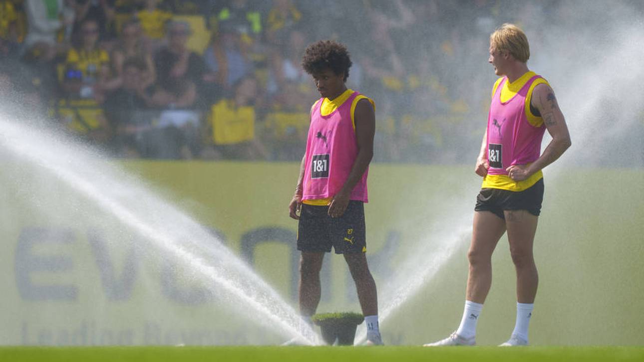 BVB bangt um nächsten Star