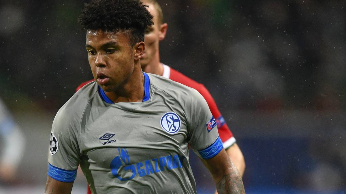 WESTON MCKENNIE: Begann in der Offensive, zeitweise sogar als zweite Spitze neben Embolo, rückte im Verlauf des Spiels immer weiter nach hinten. War kurz vor Schluss wieder ganz vorne und köpfte Schalke zum Sieg - SPORT1-Note: 2