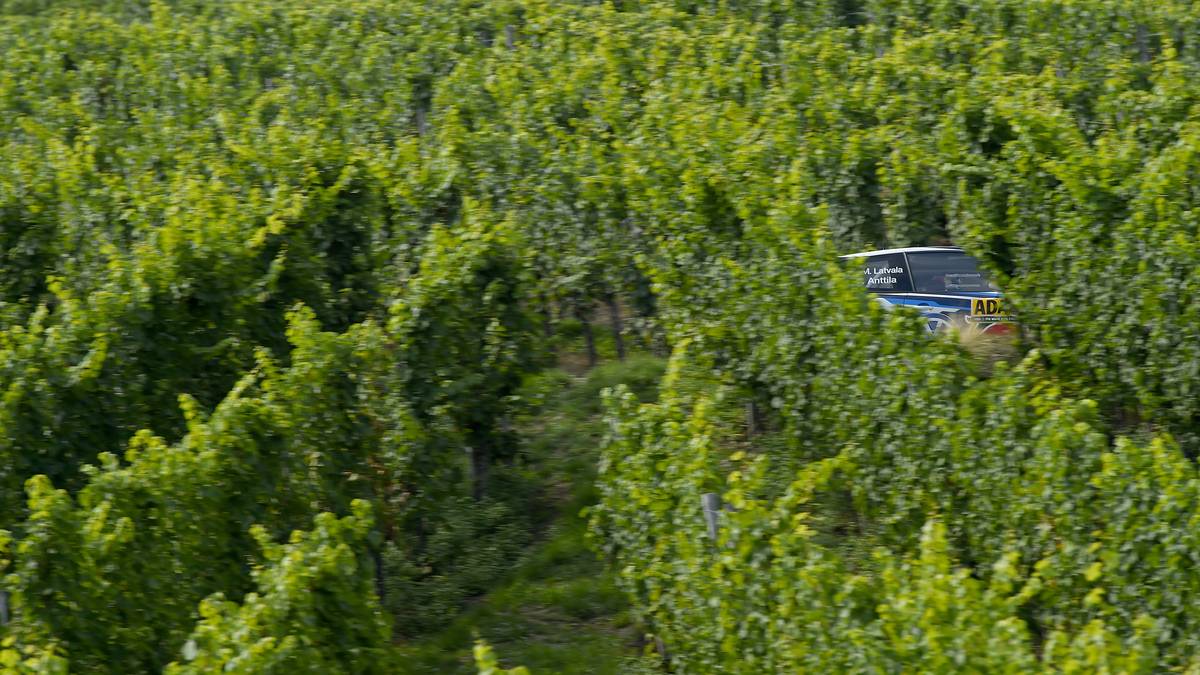 Die achte Station der WRC ist Deutschland! Vom 18. bis zum 21. August können die deutschen Fans bestaunen, wie sich die Rallye-Asse durch die Weinberge kämpfen. 2015 gewinnt natürlich Ogier 