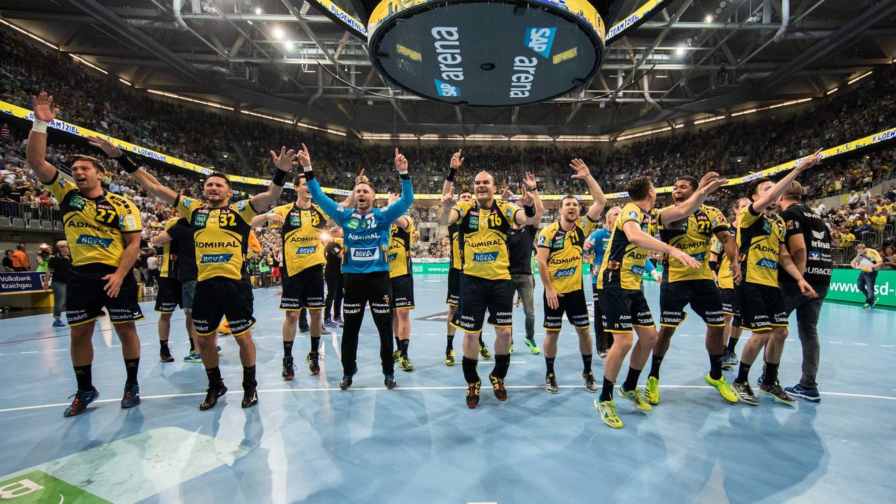 Die Gründe für den Löwen-Triumph