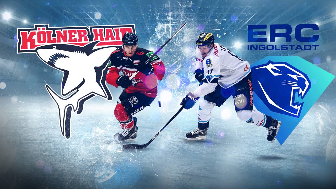 Haie wollen gegen ERC vorlegen