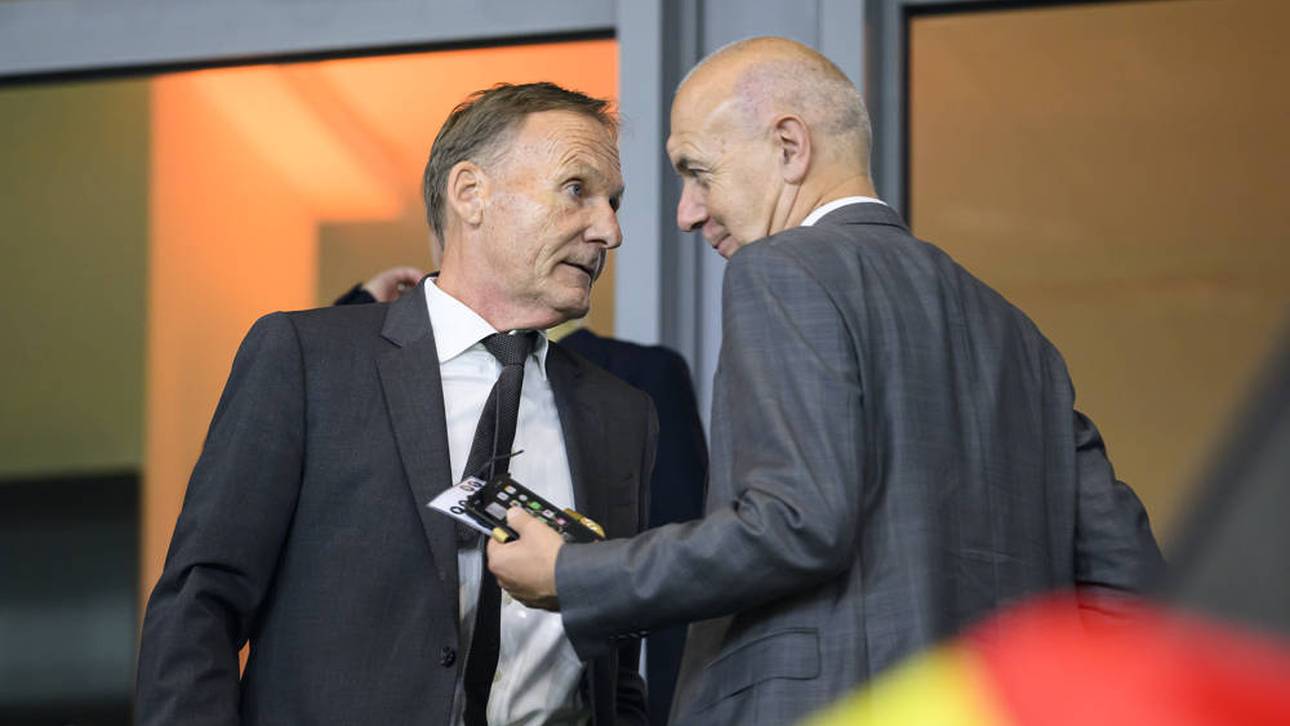 Das muss neuer Bundestrainer können