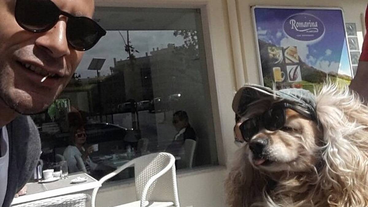 Rio Ferdinand hängt mit seinem Hund ab. Der Vierbeiner läuft zum Essen aber nur mit Sonnenbrille auf