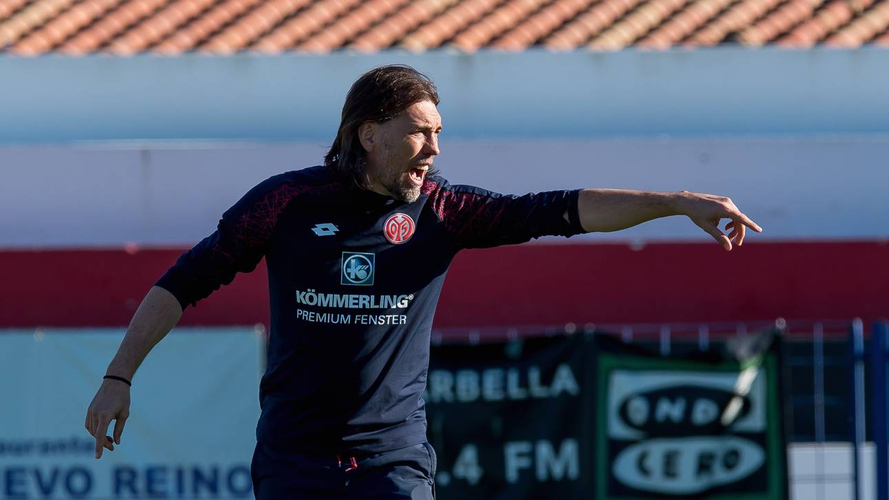 Schmidt bleibt Trainer in Mainz