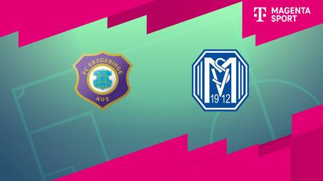 FC Erzgebirge Aue - SV Meppen: Tore und Highlights | 3. Liga