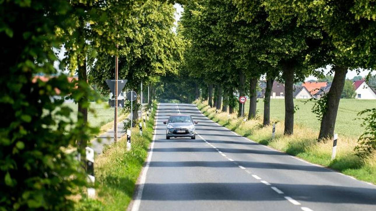 Die Gefahren der Landstraße