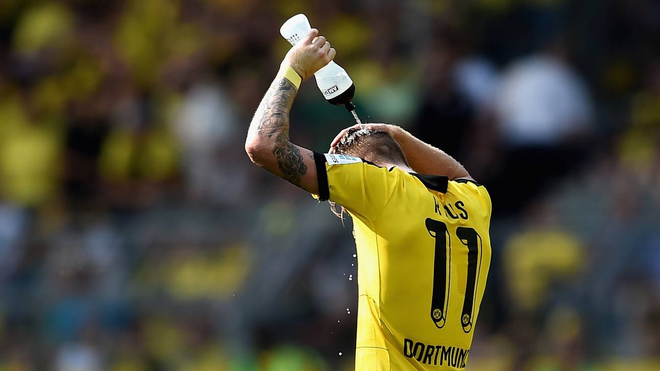 BVB in Hannover ohne Reus