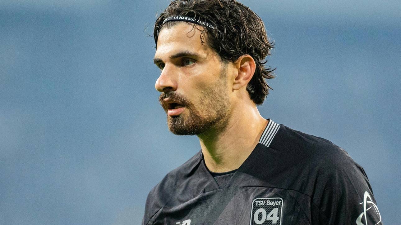 Leverkusen vorerst ohne Terrier