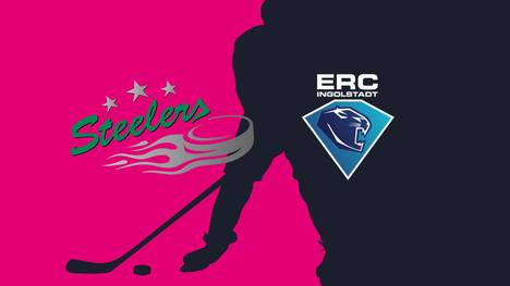 Bietigheim Steelers - ERC Ingolstadt: Tore und Highlights | PENNY DEL