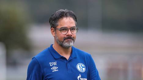 Schalke-Trainer David Wagner gehen derzeit die Spieler aus
