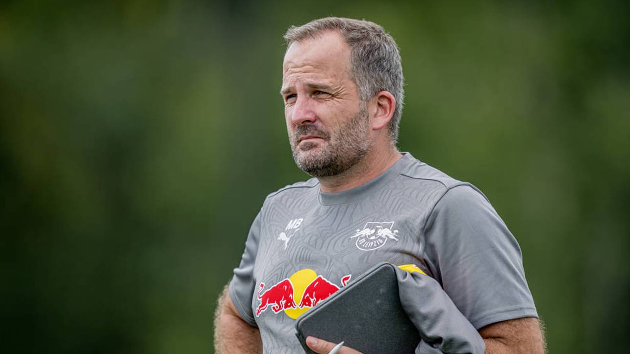 Überraschendes Baum-Aus in Leipzig