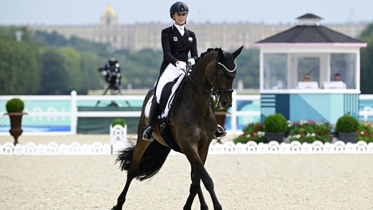Dressur: FEI-Vertreter erarbeiten Änderungsansätze