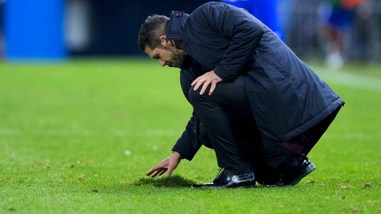 Guardiola weist Kritik am Rasen zurück