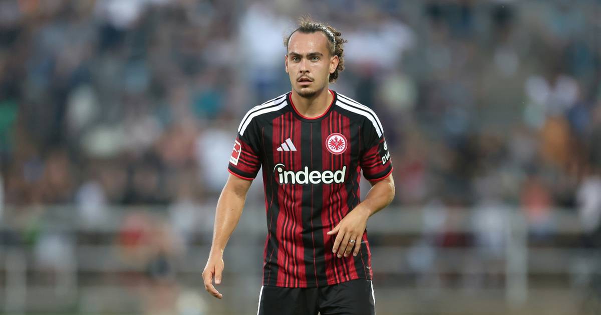 Frankfurt star leaves: | 