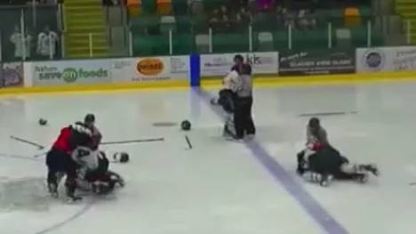 Bei einem Juniorenspiel in Kanada eskaliert ein Bully zu Beginn des zweiten Drittels. Am Ende gibt es 257 Strafminuten und neun Matchstrafen.