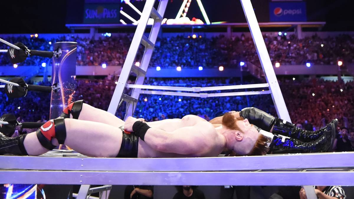 Und in einem spektakulären Leitermatch zeigen die Brüder, dass sie nichts verlernt haben...