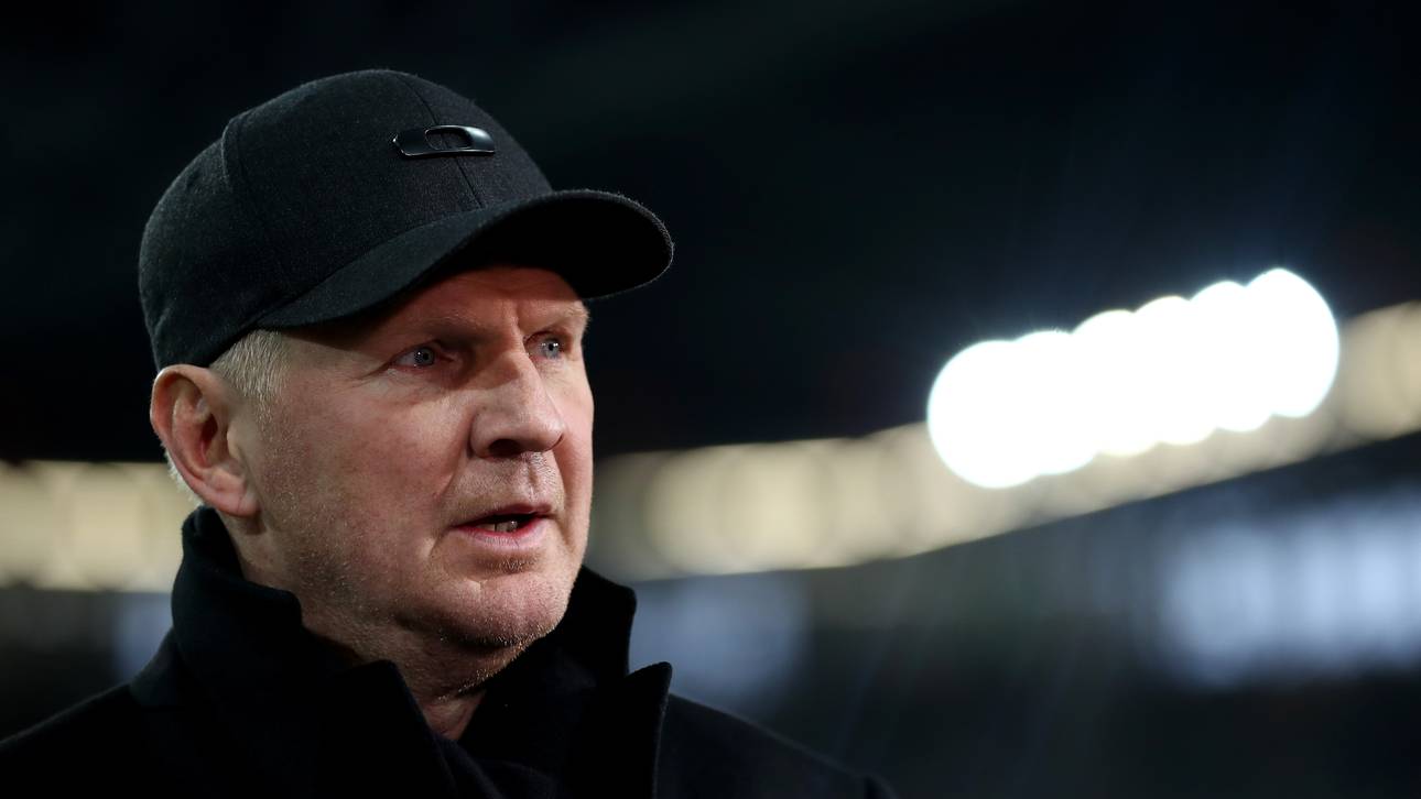 Effenberg über Bayern-Transfers