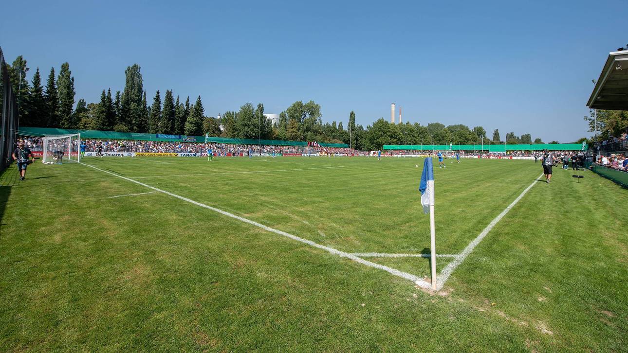 Spieler verprügelt eigenen Trainer