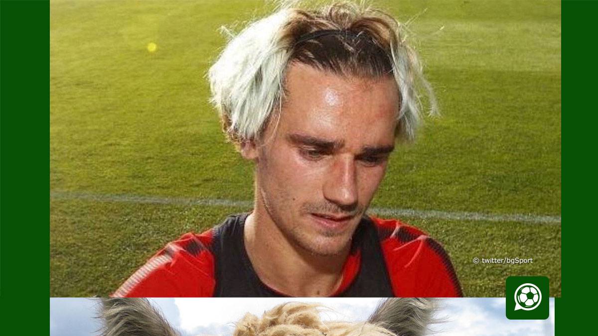 Antoine Griezmann hat schon einige Haar-Experimente hinter sich. So trägt der französische Superstar in der Saison 2017/18 zwischendurch einen Wischmop. Ob er die Idee für die neue Frisur aus dem Tierreich hat?