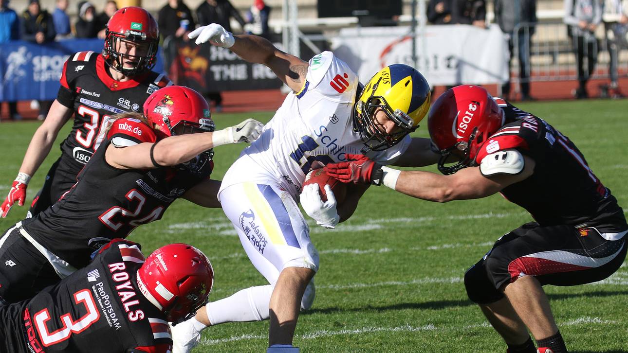 Die Hildesheim Invaders treten gegen die Cologne Crocodiles an