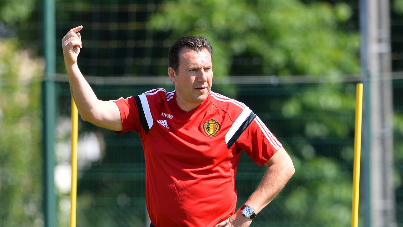 Wilmots für Schalke wohl noch teurer