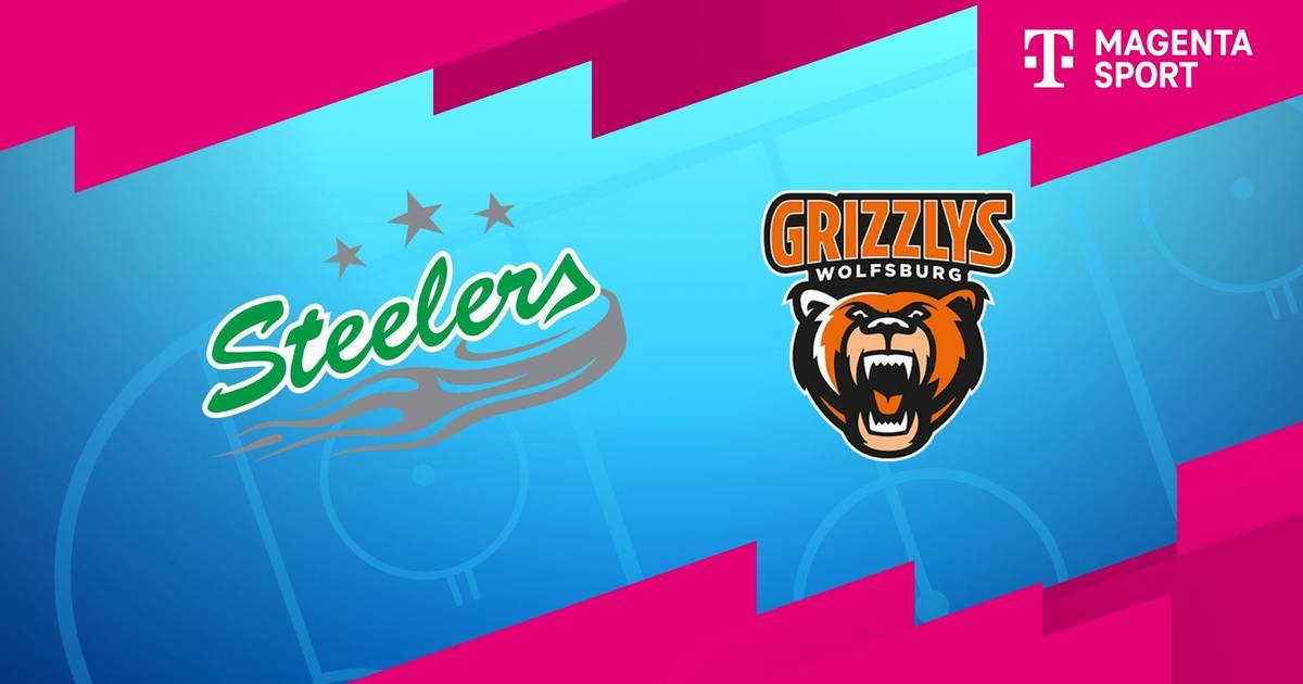 Grizzlys Wolfsburg gegen Bietigheim Steelers: VIP-Tickets zu gewinnen