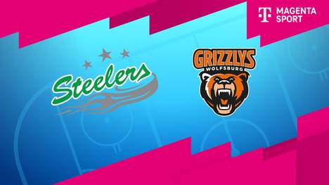 Bietigheim Steelers - Grizzlys Wolfsburg: Tore und Highlights | PENNY DEL