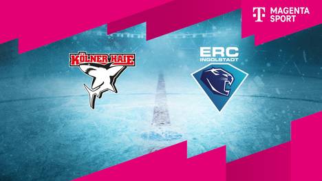 Kölner Haie - ERC Ingolstadt: Tore und Highlights | PENNY DEL