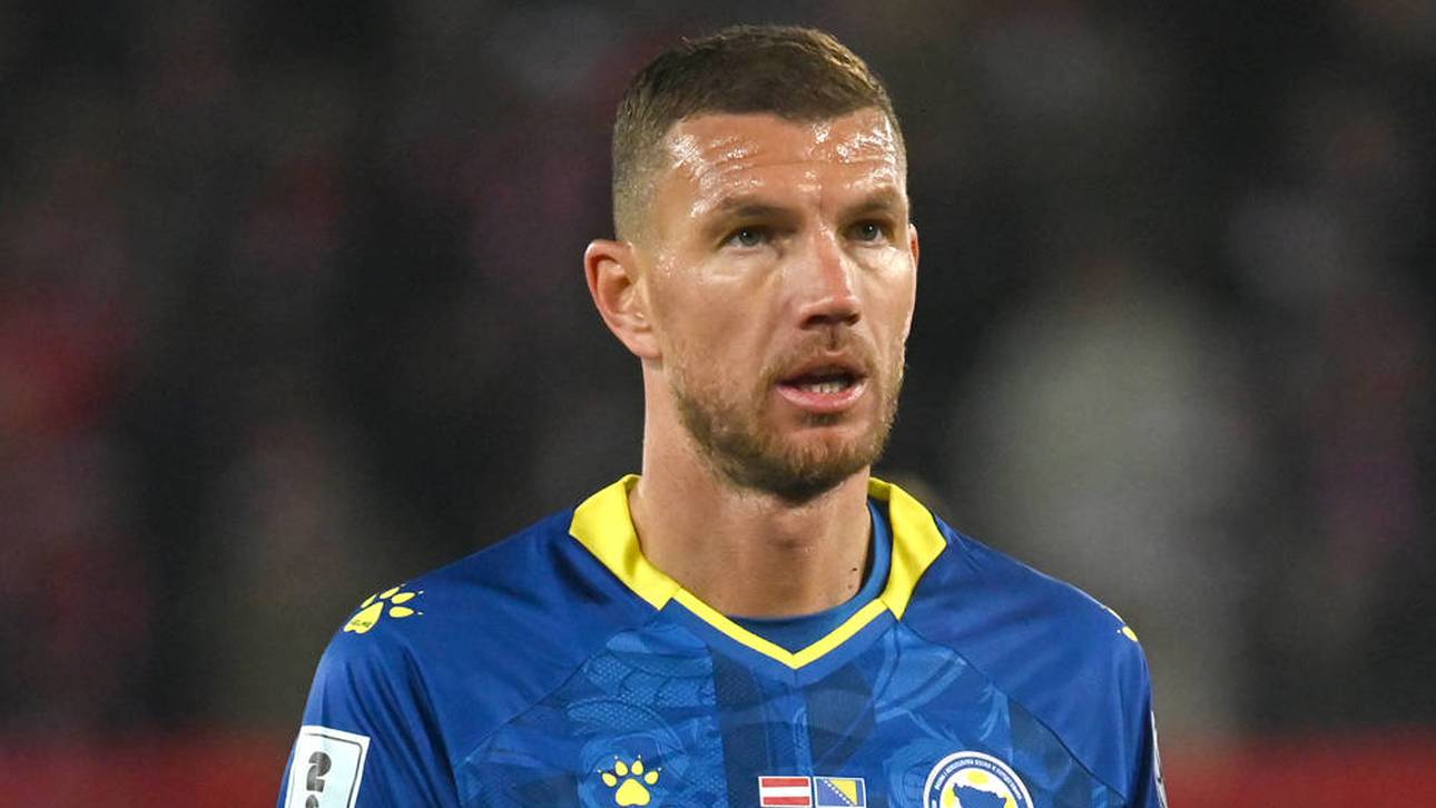 Nationaltrainer schwärmt von Dzeko
