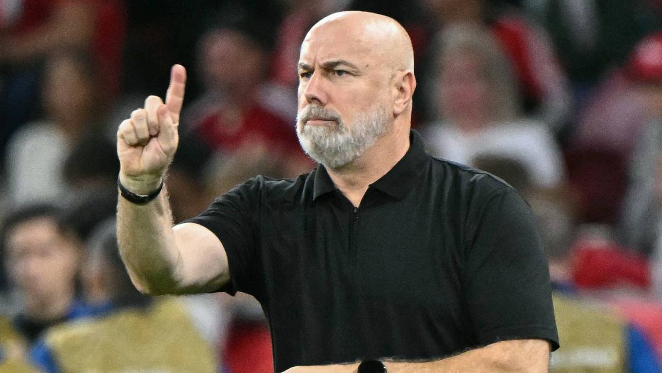 DFB-Team für Barbarez ein Vorbild