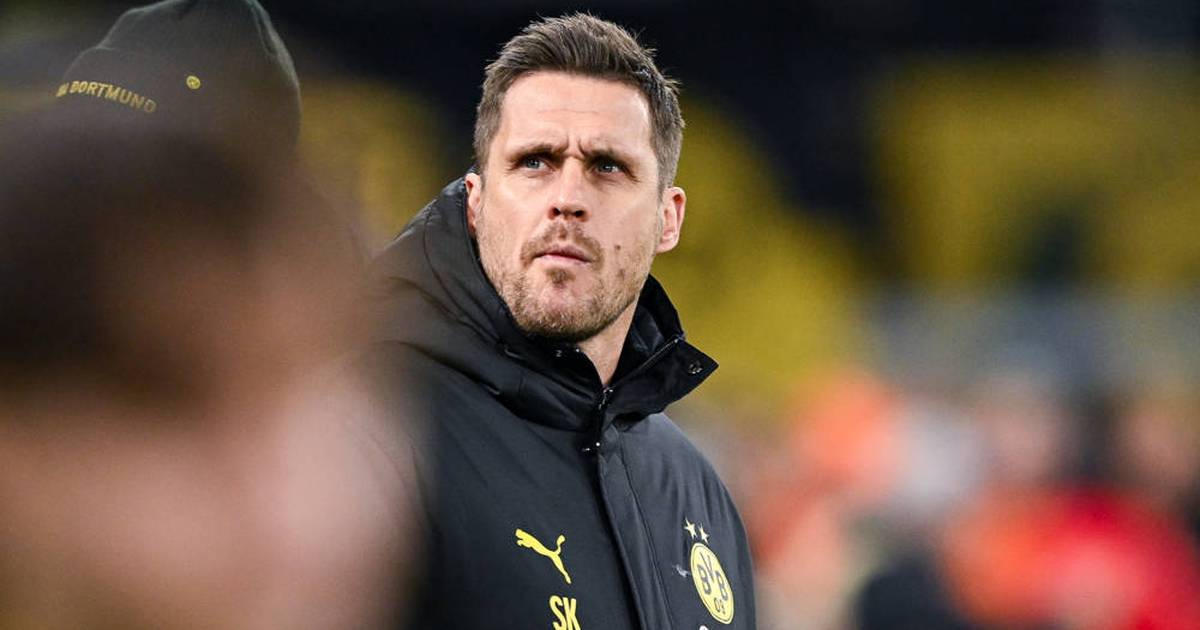 Dietmar Hamann befeuert Gerüchte um Sebastian Kehl