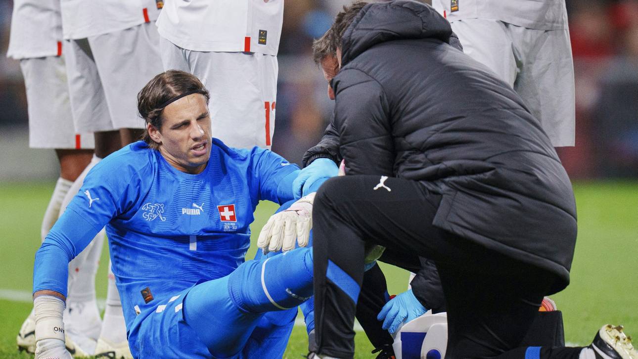 So läuft es bei den deutschen EM-Gegnern