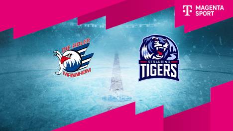 Adler Mannheim - Straubing Tigers: Tore und Highlights | PENNY DEL