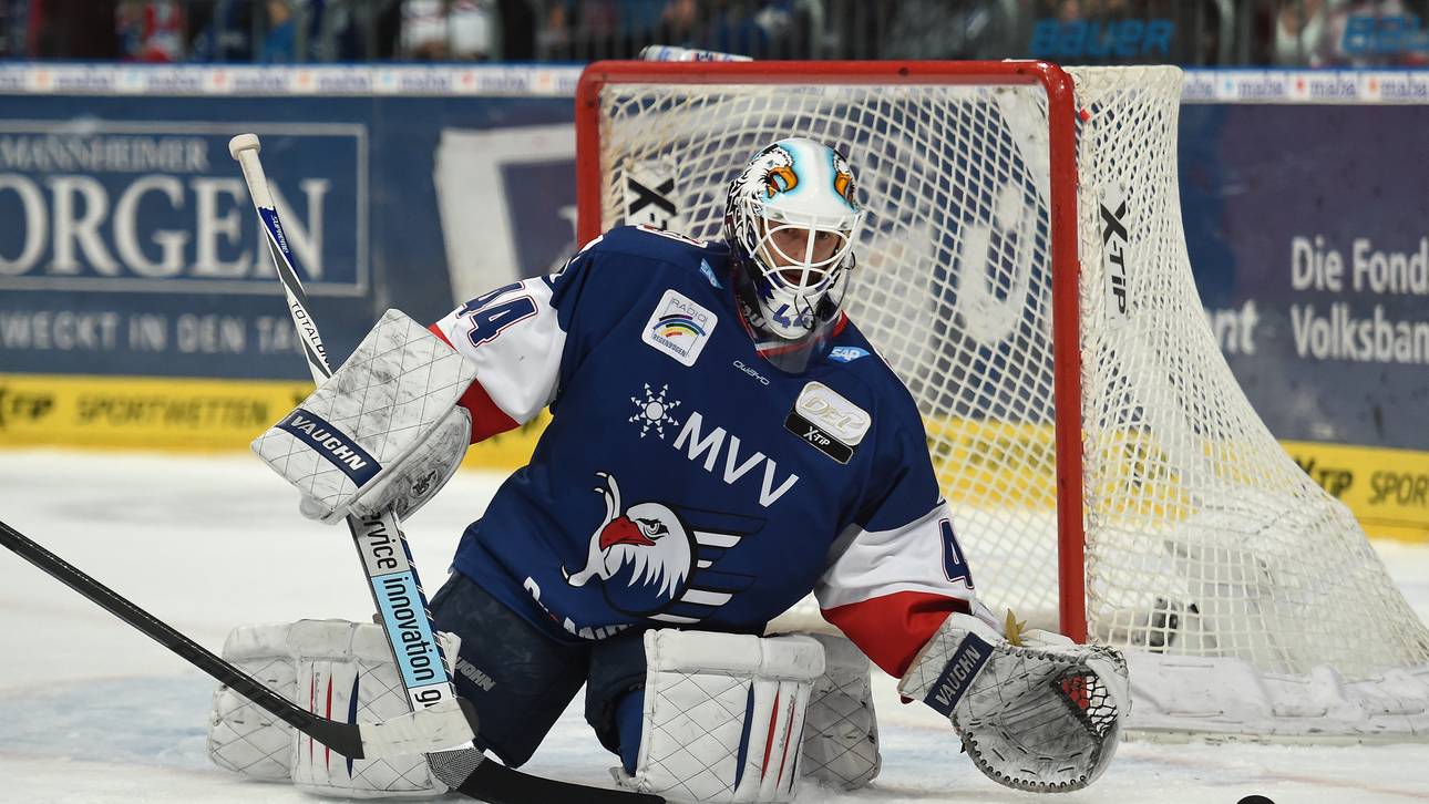 Adler weiter im Sturzflug