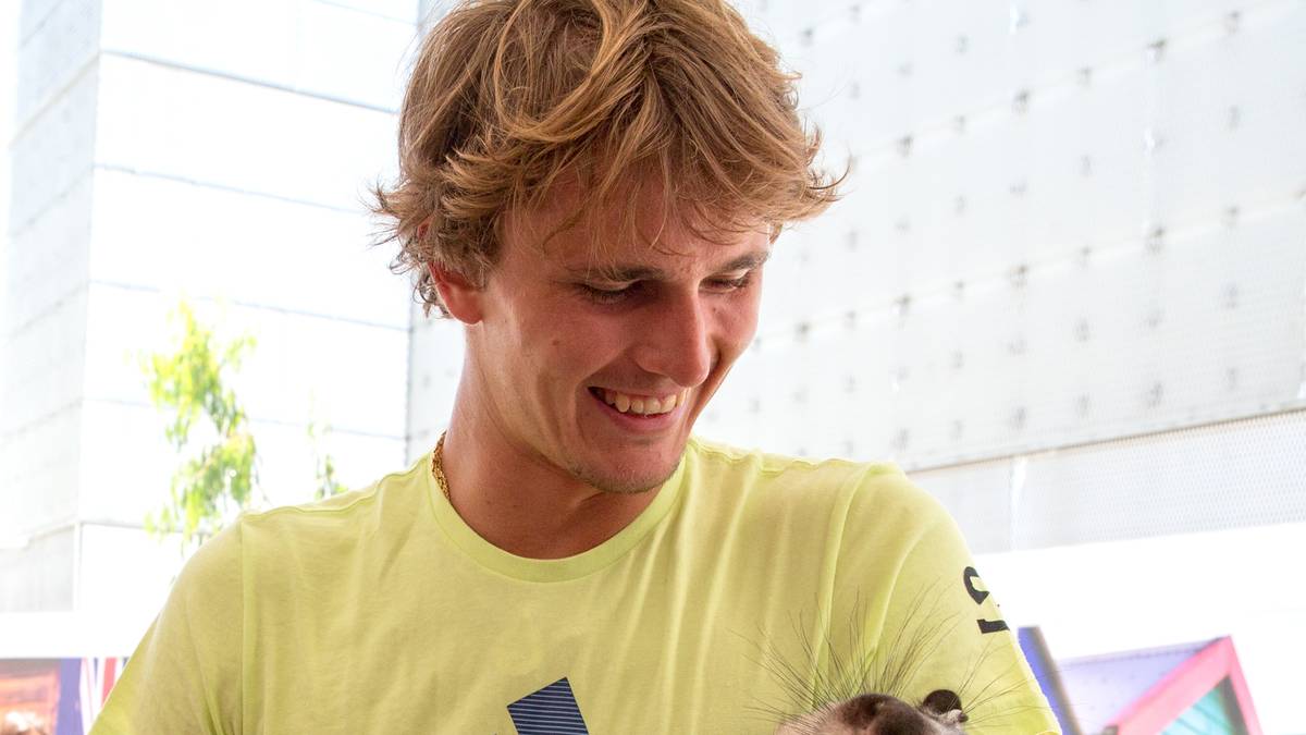 Auch die Begegnung mit einem Wombat darf natürlich nicht fehlen