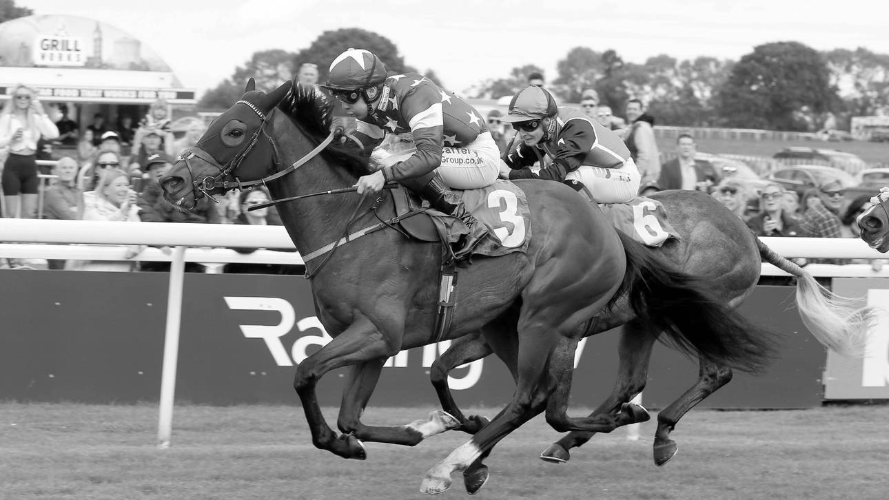 Mit 23! Tragödie um Jockey-Star